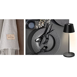 Free Villeroy & Boch Dinnerware Set