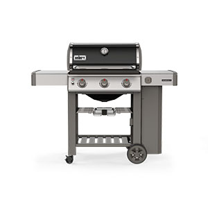 Free Weber BBQ