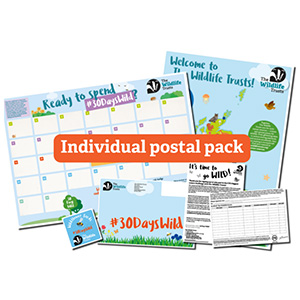 Free Wildlife Activity Set
