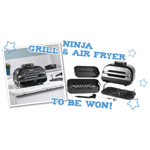 Free Ninja Foodi Air Fryer
