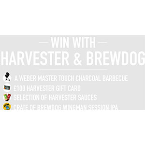Free Weber Master BBQ