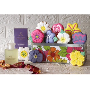 Free Biscuiteers Tin