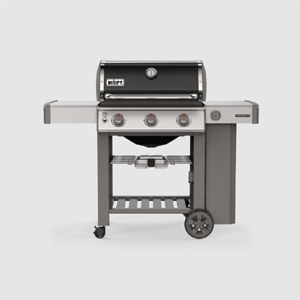 Free Weber BBQ