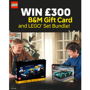 Free LEGO Bundle
