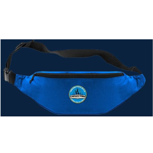 Free Chicago Town Bum Bag