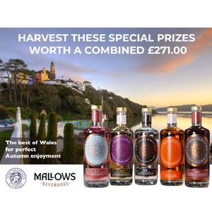 Free Mallows Beverages Set