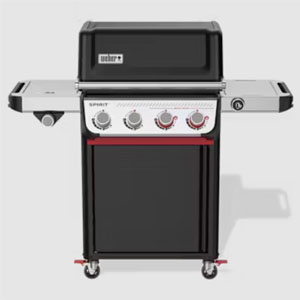 Free Weber BBQ