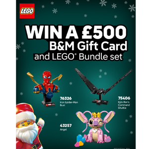 Free LEGO Bundle Set