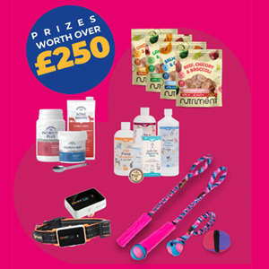Free Tug-e-nuff Pet Bundle